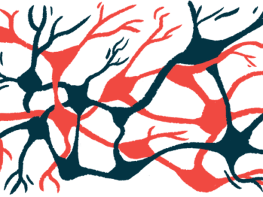 An illustration of neurons.